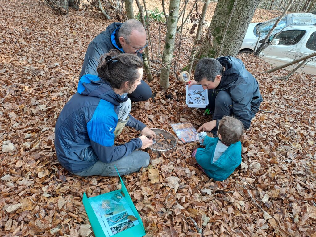 Quatre personne autour d'un tamis recherche des chilopodes