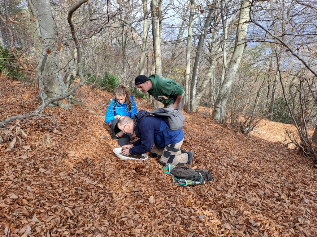 Trois passionnés en train de fouillé dans la terre à la recherche de chilopodes